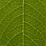 Hemp Hand Protector